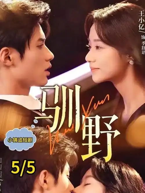 重生之我在首尔开面馆 短剧在线观看